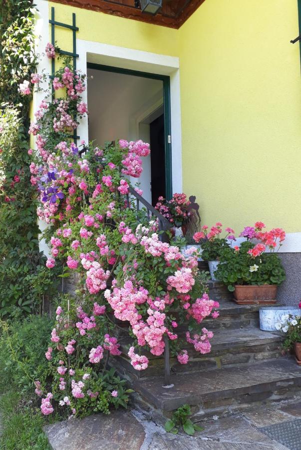 Haus Lerchenreith Apartment บาดเอาส์ซี ภายนอก รูปภาพ